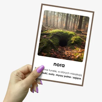 zwierzęta żyjące w norach w polsce